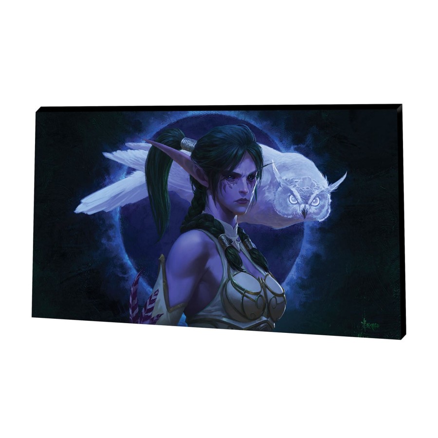 Books & Art Jondo | World Of Warcraft Tyrande 14X24In Canvas